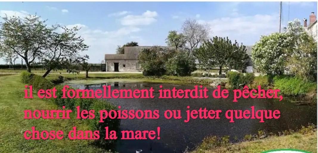 Gite Chez Jeannot アゼ・ル・フェロン エクステリア 写真